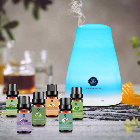 10ML Pure Essential Oil Humidifier Aromatherapy 6pcs Gift Set