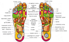 5 Raw Wooden Foot Roller Massage Reflexology