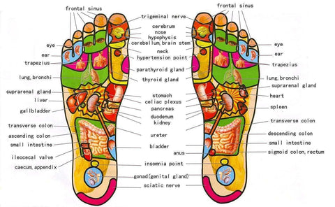 Image of 5 Raw Wooden Foot Roller Massage Reflexology