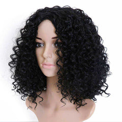 Summer Curly Style Lace Aesthetic Front Wig