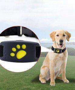 Dogs Cats Pet Waterproof GPS Tracker Collar