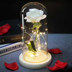 Red Rose In A Glass Dome With LED Light
