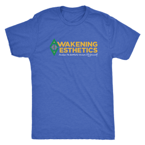 Awakening Aesthetics Next Level Mens Triblend T Shirt