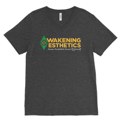 Awakening Aesthetics V Neck T Shirt For Men