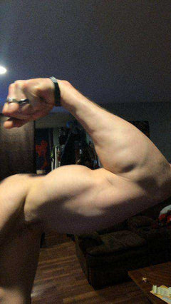 Natural Bodybuilding Awakening Aesthetics Program & Book
