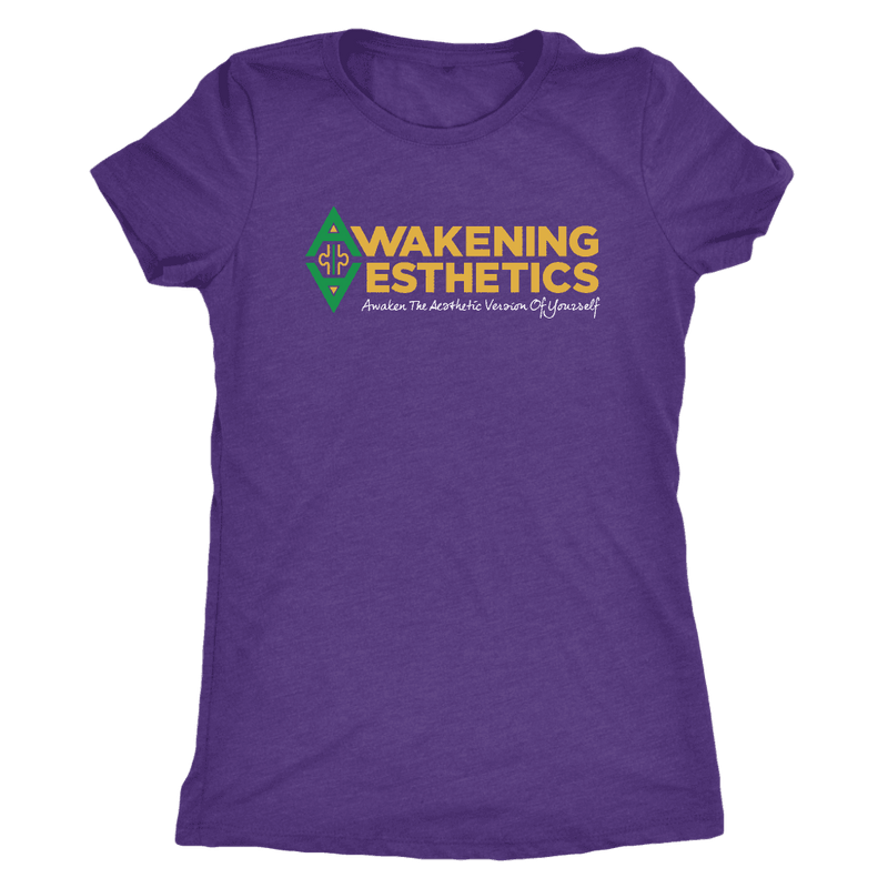 Awakening Aesthetics Next Level Womens Triblend T Shirt