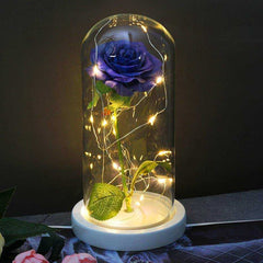 Red Rose In A Glass Dome With LED Light