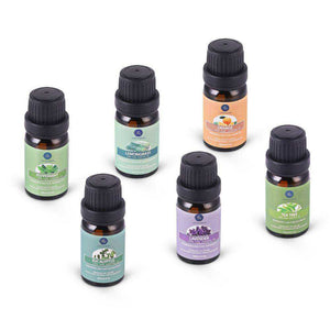 10ML Pure Essential Oil Humidifier Aromatherapy 6pcs Gift Set