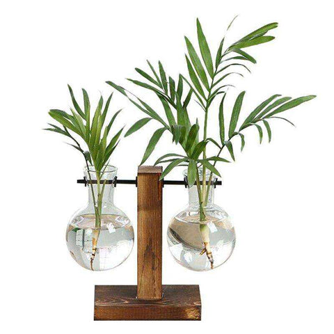 Image of Terrarium Hydroponic Plant Vases