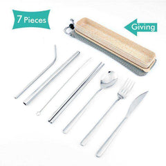 Stainless Steel Metal Reusable Straws Set