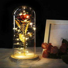 Red Rose In A Glass Dome With LED Light