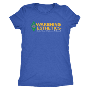 Awakening Aesthetics Next Level Womens Triblend T Shirt