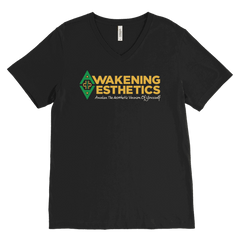 Awakening Aesthetics V Neck T Shirt For Men