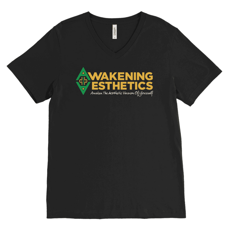 Awakening Aesthetics V Neck T Shirt For Men