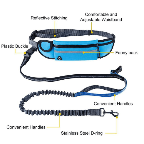 Handsfree Bungee Dog Leash
