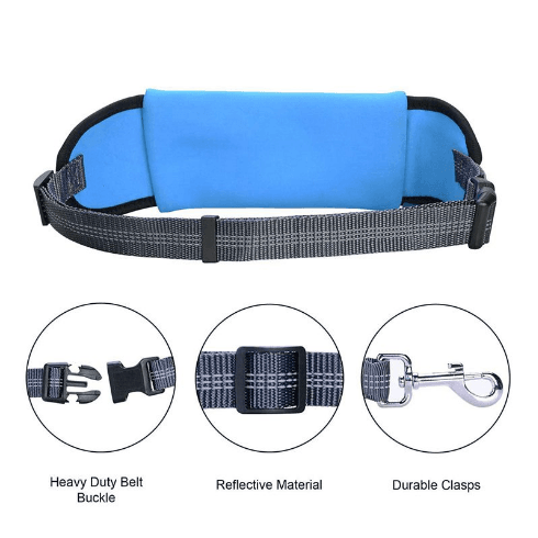 Handsfree Bungee Dog Leash