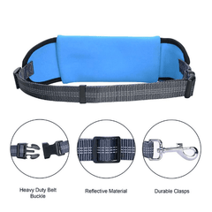 Handsfree Bungee Dog Leash