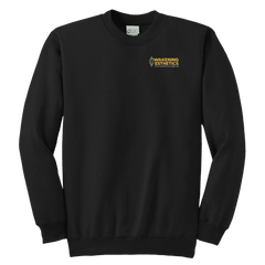 Awakening Aeshetics Youth Crewneck Sweatshirt
