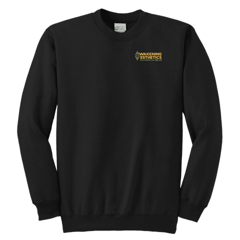 Image of Awakening Aeshetics Youth Crewneck Sweatshirt