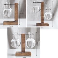 Terrarium Hydroponic Plant Vases