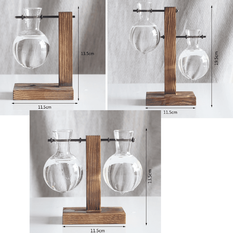 Terrarium Hydroponic Plant Vases