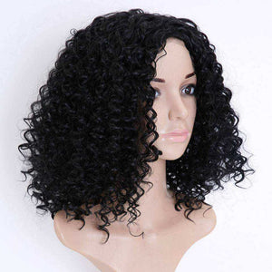 Summer Curly Style Lace Aesthetic Front Wig