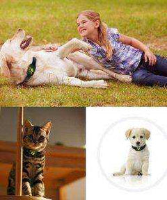 Dogs Cats Pet Waterproof GPS Tracker Collar
