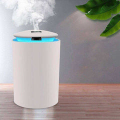 Aesthetic Air Diffuser Aromatherapy Humidifier for Home