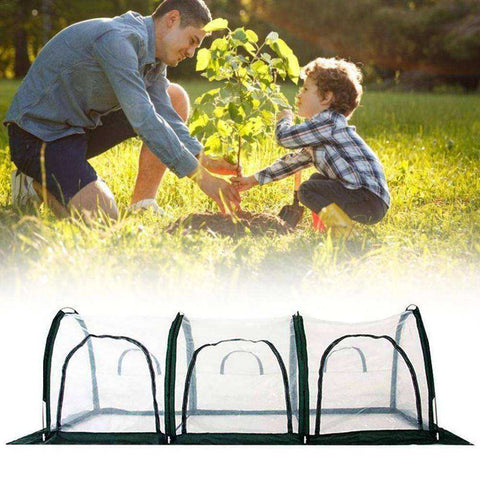 Image of Small Aesthetic Greenhouse Mini Pop Up Plant Shelter Grow House