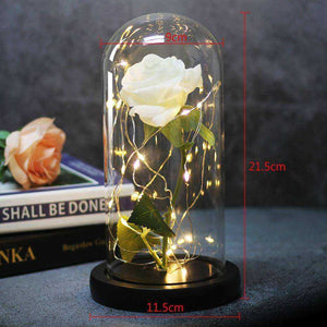 Red Rose In A Glass Dome With LED Light