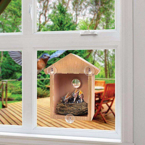Image of Premium Quality Bird House Feeder with Window Suction