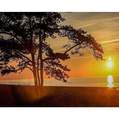 DIY Framed Painting Four Seasons Tree For Home Adults Room Decoration