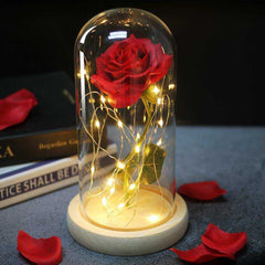 Red Rose In A Glass Dome With LED Light