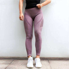Seamless Mesh Flex Tummy High Waist Push Up Leggings