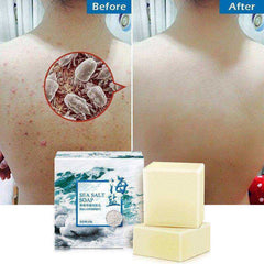 Coconut Sea Salt Handmade Goats Milk Face Care Soap