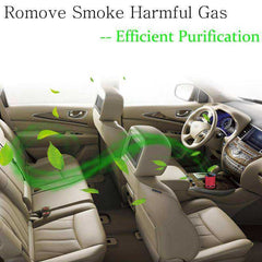 Unique Mobile Car Air Purifier & Cabin Ionizer