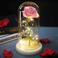 Red Rose In A Glass Dome With LED Light