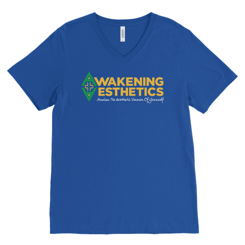 Awakening Aesthetics V Neck T Shirt For Men
