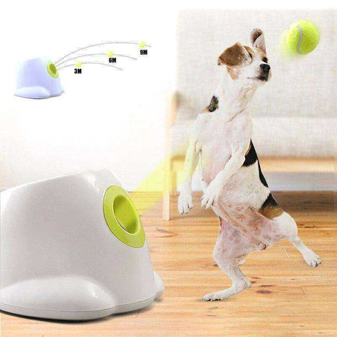 Image of Dog Pet Tennis Launcher