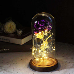 Red Rose In A Glass Dome With LED Light