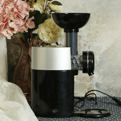 Fruit To Dessert Ice Cream Milkshake Maker Machine