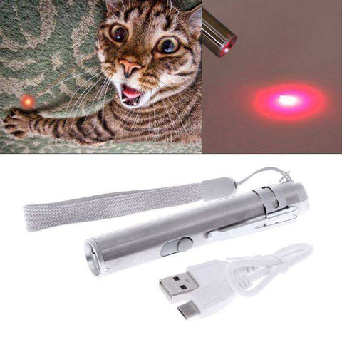 Image of 3 in1 Red Lazer Pointer USB Rechargeable Flashlight