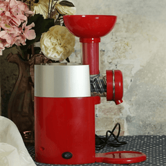 Fruit To Dessert Ice Cream Milkshake Maker Machine