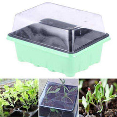 10 Pack Seed Starter Seedling Tray with Dome