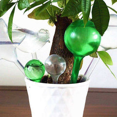 Houseplant Plant Pot Bulb Automatic Self Watering