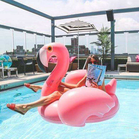 Image of High Quality Inflatable Ride On Flamingo & Swan Swimming Pool Float