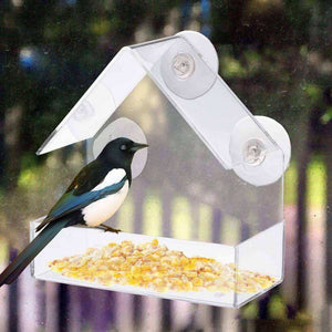 House Shaped Acrylic Bird Feeder with Suction Cup