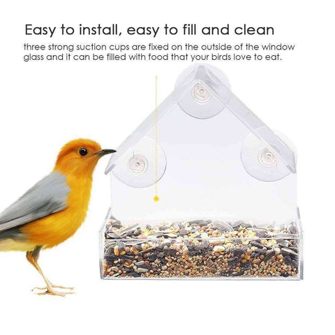 Image of House Shaped Acrylic Bird Feeder with Suction Cup