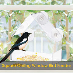 House Shaped Acrylic Bird Feeder with Suction Cup