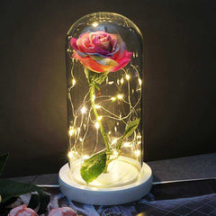 Red Rose In A Glass Dome With LED Light